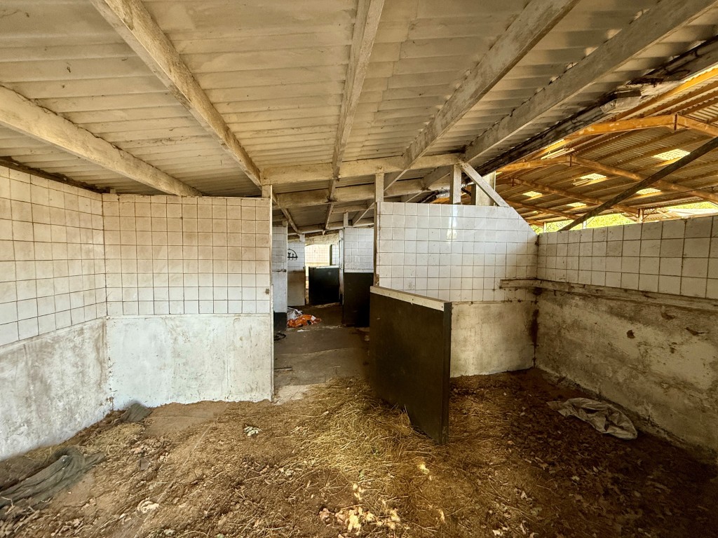 Lot: 80 - EQUESTRIAN FACILITY - INDOOR MANÈGE, STABLES, PADDOCKS AND ACCOMMODATION - Stables adjacent to sand school